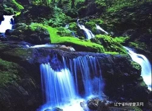 萌兔兔闯关
